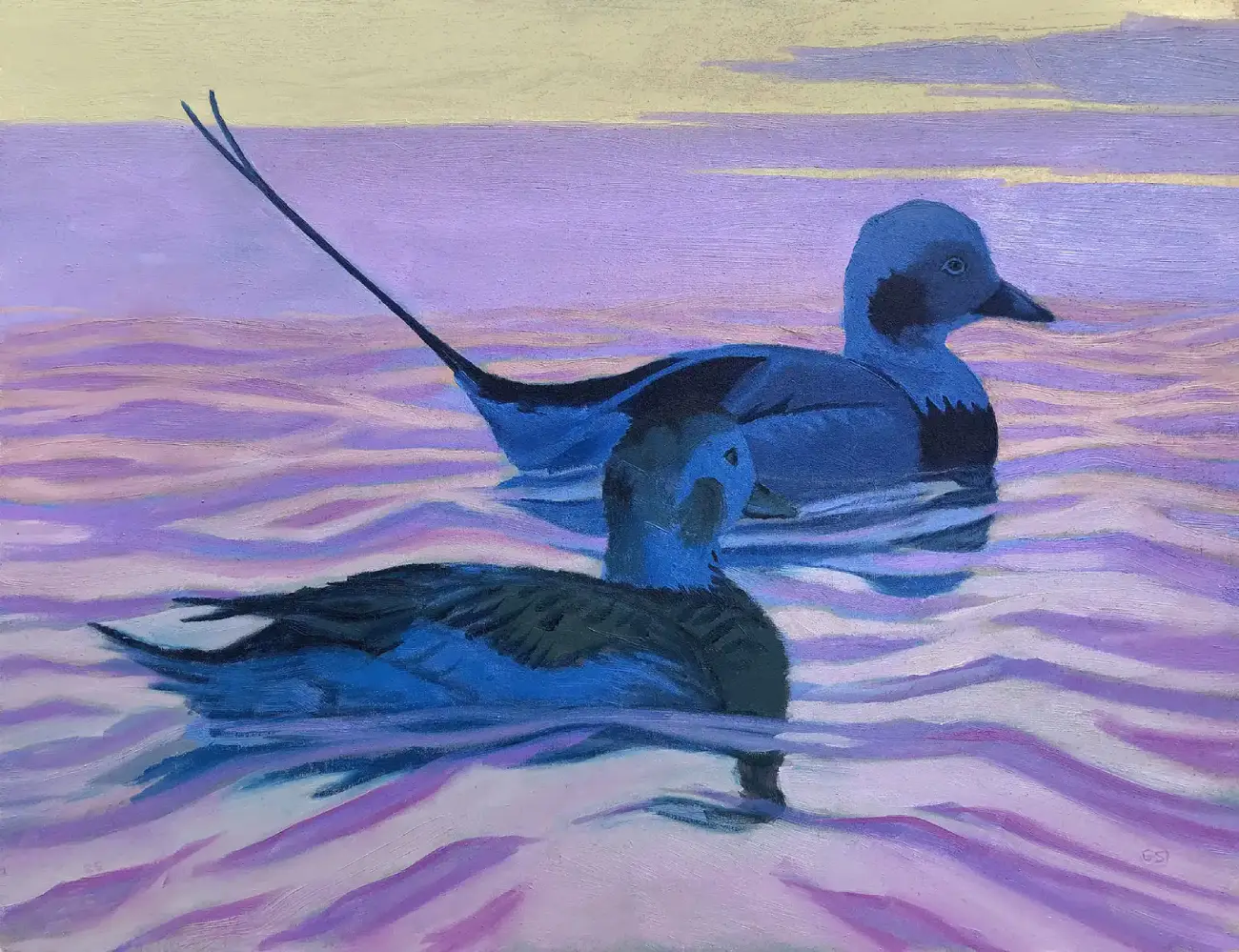 Highly colorful oil painting of two long-tailed ducks floating on rippling water. The water reflects vibrant, stylized shades of pink, purple, and gold from the sunset, sharply contrasting with the deep blue plumage of the birds.