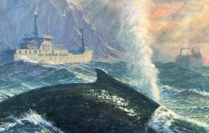 Close up showing the Sea Shepherd vessel Allankay in the background and a large humpback whale surfacing with a prominent blow.