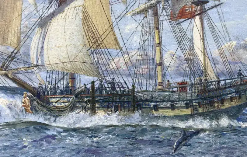 Close up of the hull and bow of HMS Sphinx cutting through the water, with a dolphin leaping from the waves just ahead of the ship.