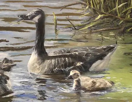 Oil painting of a wildlife subject — example of a non-maritime commission