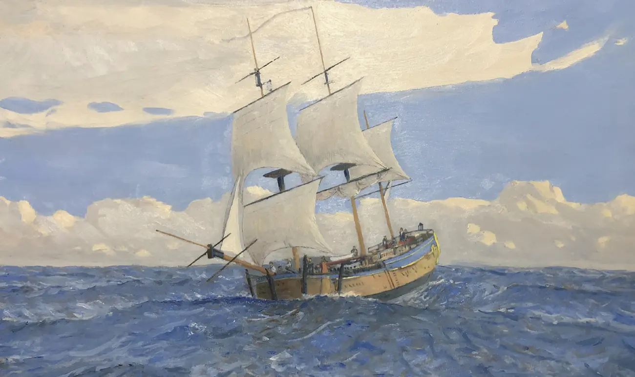 Stage 5 — Developing the sea